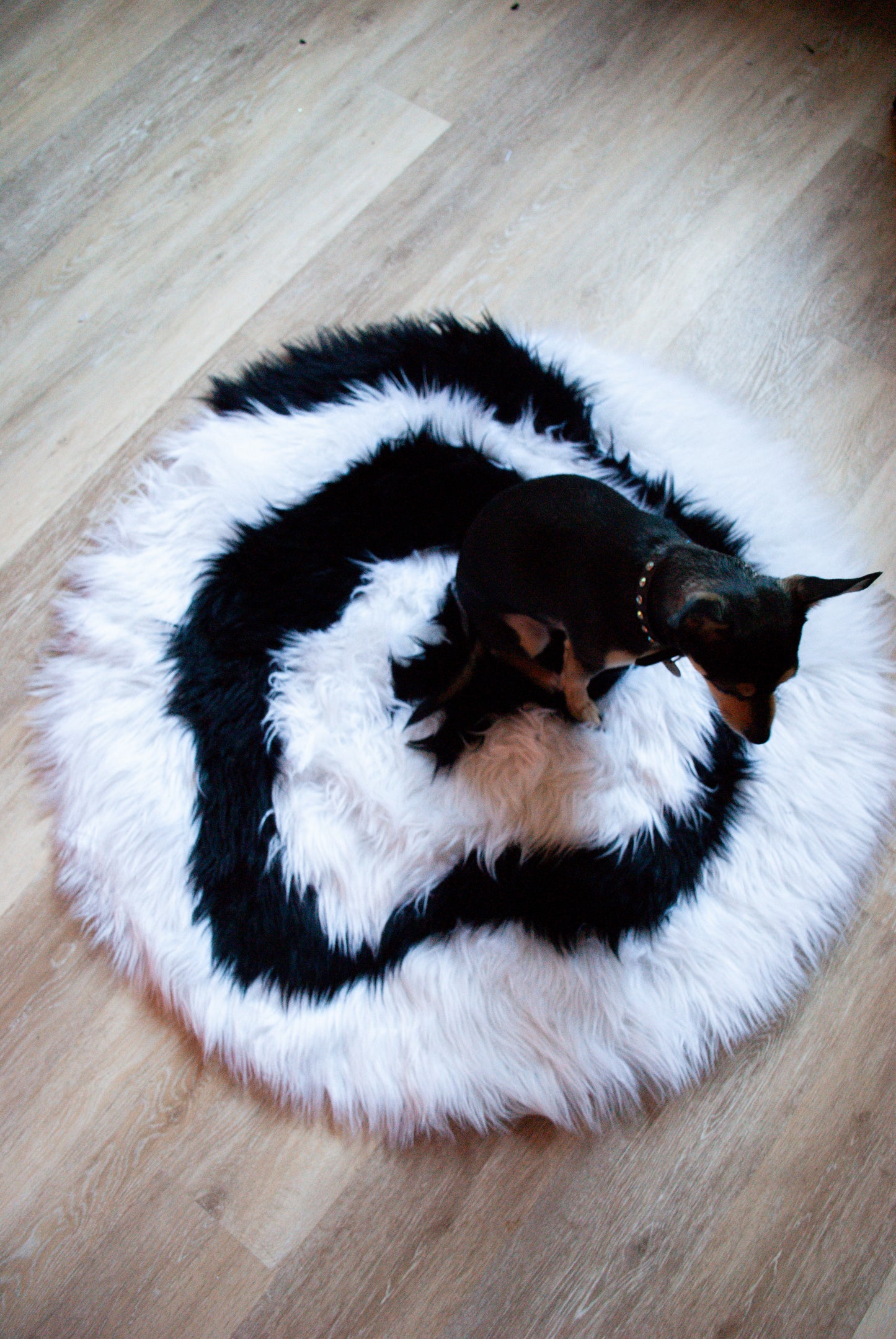 Swirl Rug