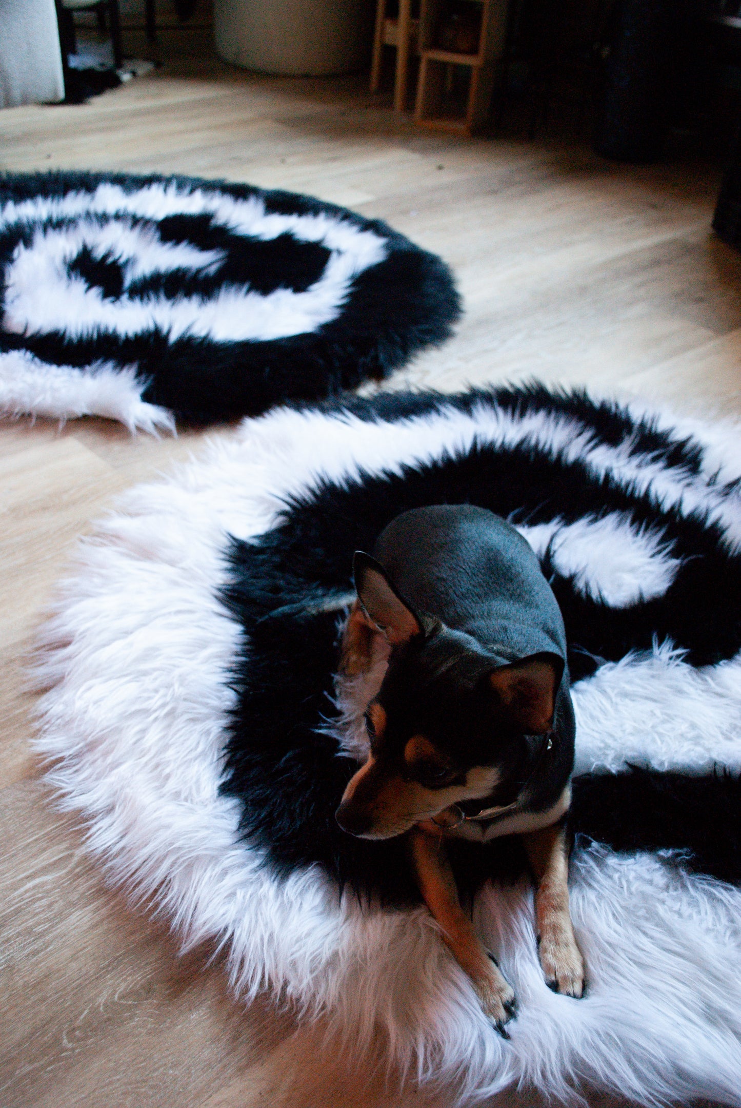 Swirl Rug